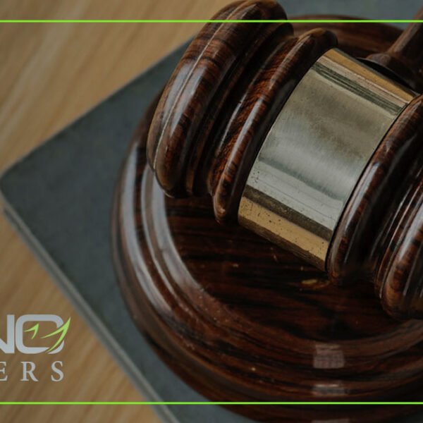 ¿Cuáles son mis derechos si mi abogado ha estropeado mi caso?