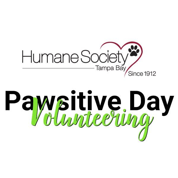 RHINO Lawyers Volunteer: A Pawsitive Day at the Humane Society of Tampa Bay