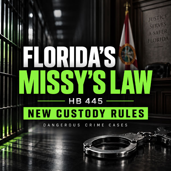 Florida's Missy's Law Changes Custody Rules After Dangerous Crime Convictions